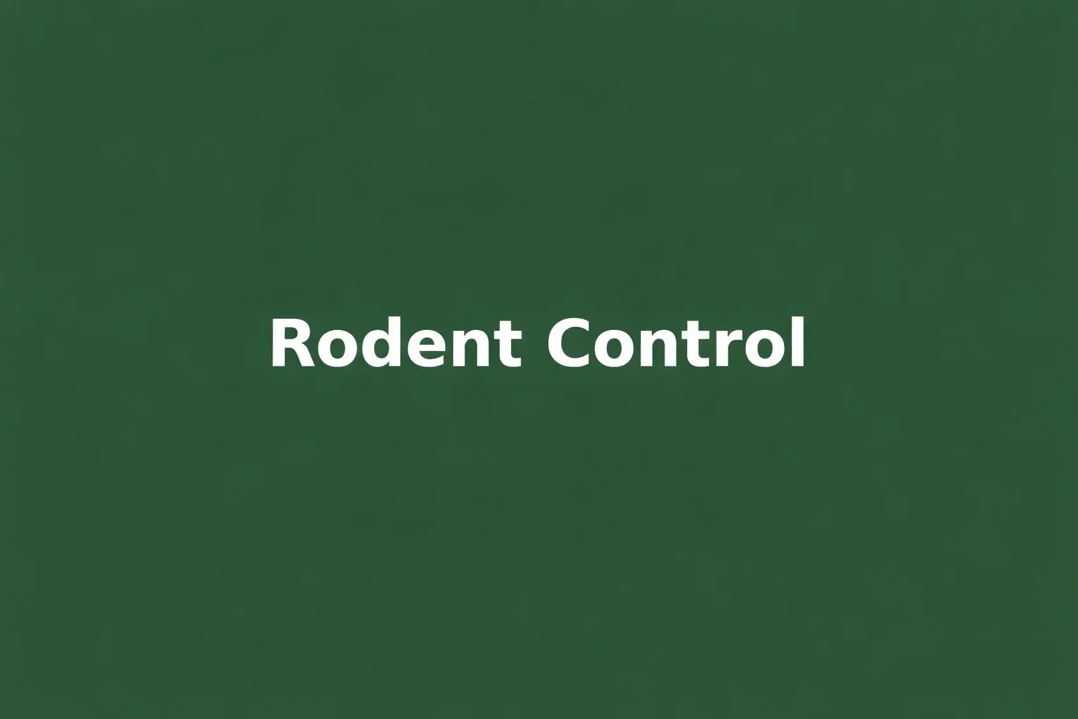 Rodent Control St George Louisiana